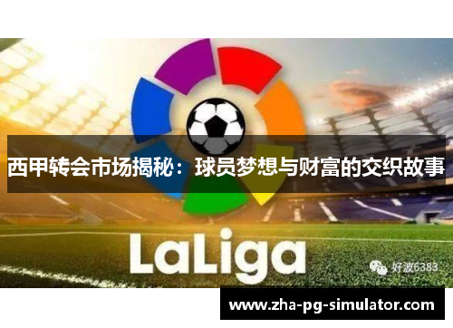 西甲转会市场揭秘：球员梦想与财富的交织故事
