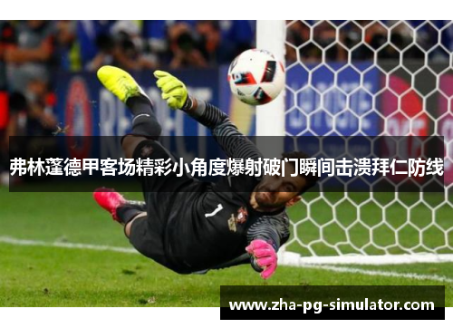 弗林蓬德甲客场精彩小角度爆射破门瞬间击溃拜仁防线